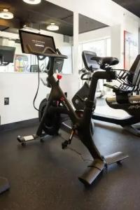 Lorenzo Dallas, Tapestry Collection by Hilton - 28