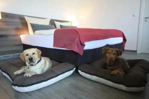 Hotel Mein Bergblick, Hahnenklee-Bockswiese