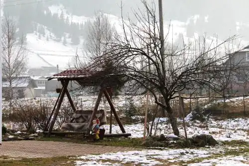 У Ганнусі, Верховина - 17