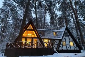 Chalet Bunyrevskiy Treugolnik Chalet, Bunyrevo