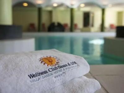 Villa Sassa, Residence & Spa - Ticinos Group - 68