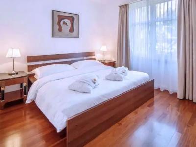 Villa Sassa, Residence & Spa - Ticinos Group - 168