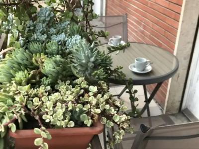 Pardis Guest house - 29