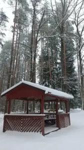 Спортивно-оздоровительная база Заячья поляна - 43