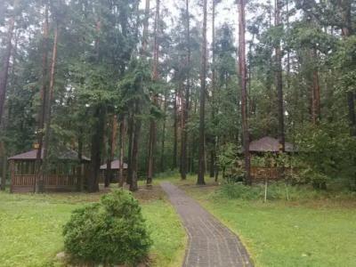 Спортивно-оздоровительная база Заячья поляна - 23