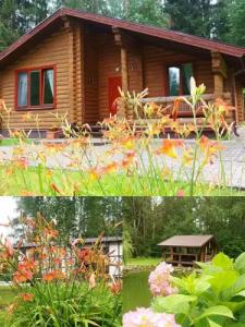 Спортивно-оздоровительная база Заячья поляна - 38