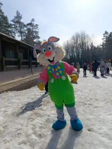 Спортивно-оздоровительная база Заячья поляна - 40