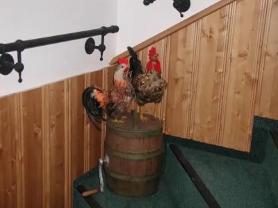 Pension Pohoda - 16
