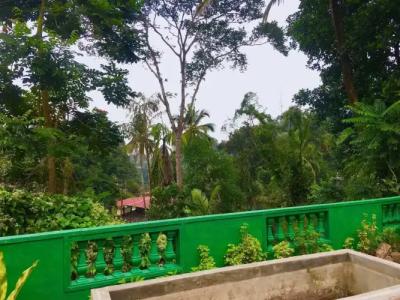 New Kandy Residence - 14