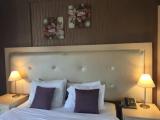 Standard Double room with balcony and with view