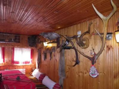 Guest House Detelina - 15