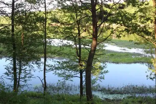 Baza Otdikha Verbki - 7