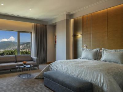 Mövenpick Bursa and Thermal Spa - 81