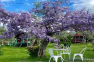Azienda agricola Della Mezzaluna, Corsanico-Bargecchia