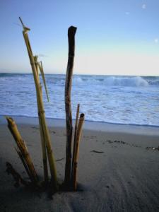 B&B Casa da Mare Salento - 16