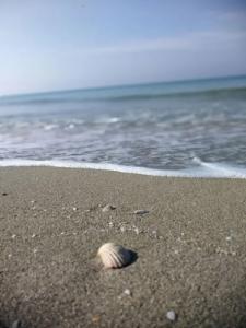 B&B Casa da Mare Salento - 17