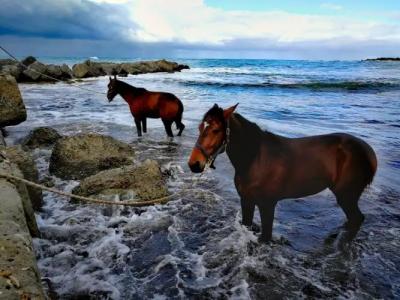 B&B Casa da Mare Salento - 18