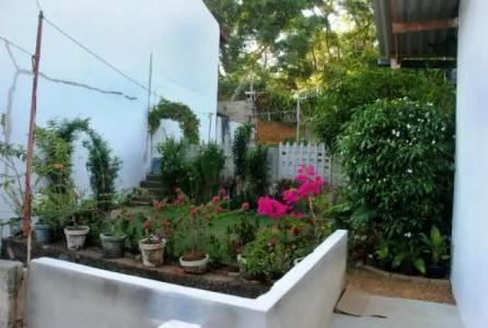 Peak View Weligama - 7