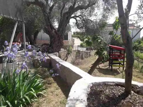 Apartman Nikocevic - 40