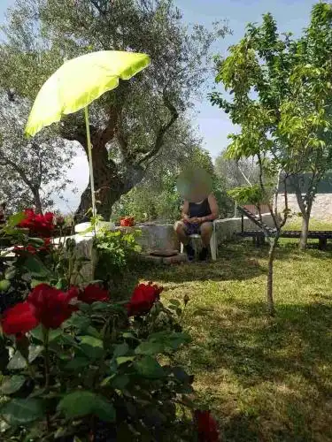 Apartman Nikocevic - 29