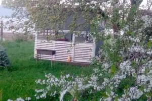Guest House for holidays Marfa and Bober, Suzdal