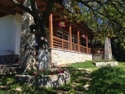 Cottage Familiya - 10