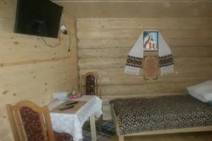 Bukovets - Hotels