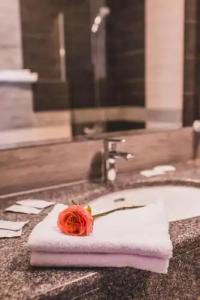Davir Spa Resort - 3