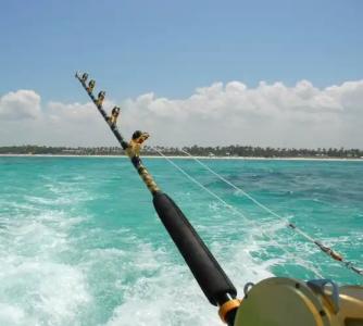 The Perry & Marina - 23