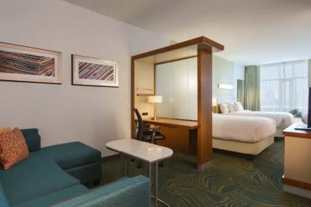 SpringHill Suites Nashville Vanderbilt/West End - 42