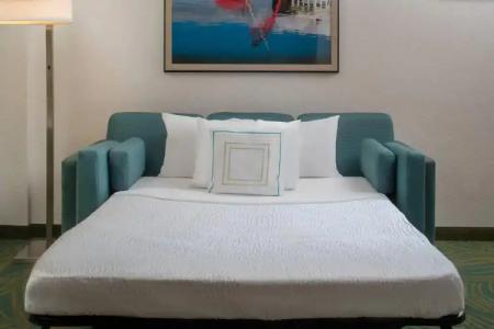 SpringHill Suites Nashville Vanderbilt/West End - 32