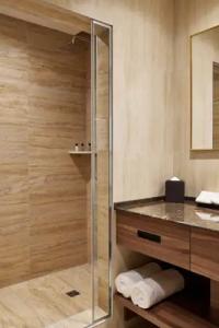 Aden & Business Centre Minsk - 86