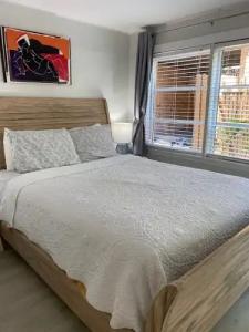 Turtle Beach Resort - 81