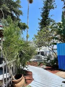 Turtle Beach Resort - 78