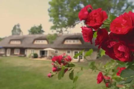 Metsara B & B - 6