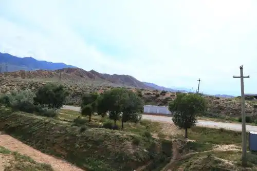 Taj Altyn - 9
