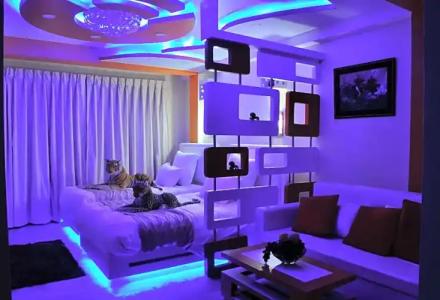 Royal Penguin Boutique 1 - 63