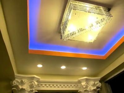 Royal Penguin Boutique 1 - 15