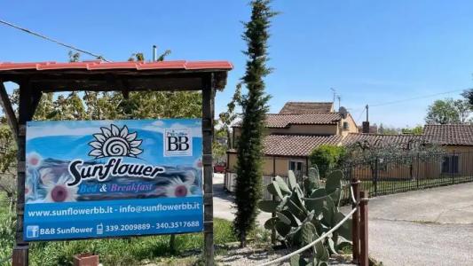 Sunflower B&B - 26