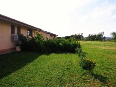 Agriturismo Fontelupo - 6