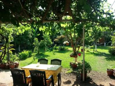 Çıralı Rüya Pansiyon - 34