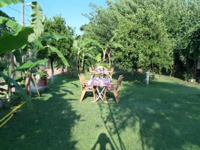 Çıralı Rüya Pansiyon - 24