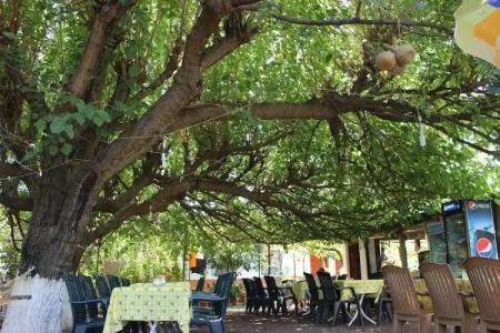 Çıralı Rüya Pansiyon - 40