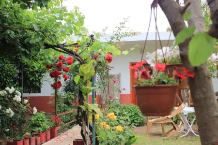 Çıralı Rüya Pansiyon - 12