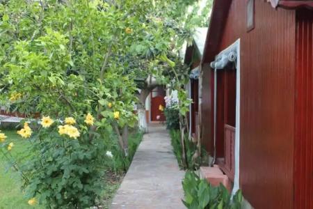 Çıralı Rüya Pansiyon - 45