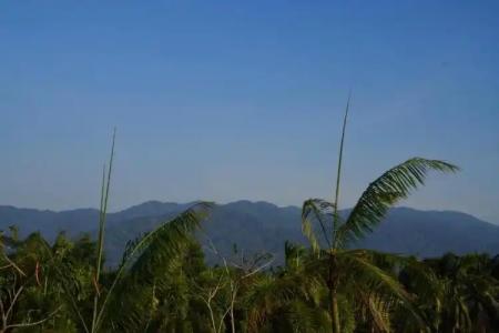 Green Terrace Resort - 144