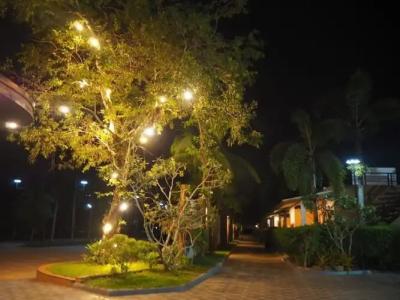 Green Terrace Resort - 158