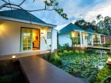 Standard Double room with pool view