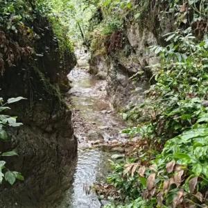 Uschelye Gagripsh - 33