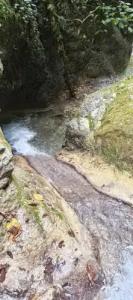 Uschelye Gagripsh - 16